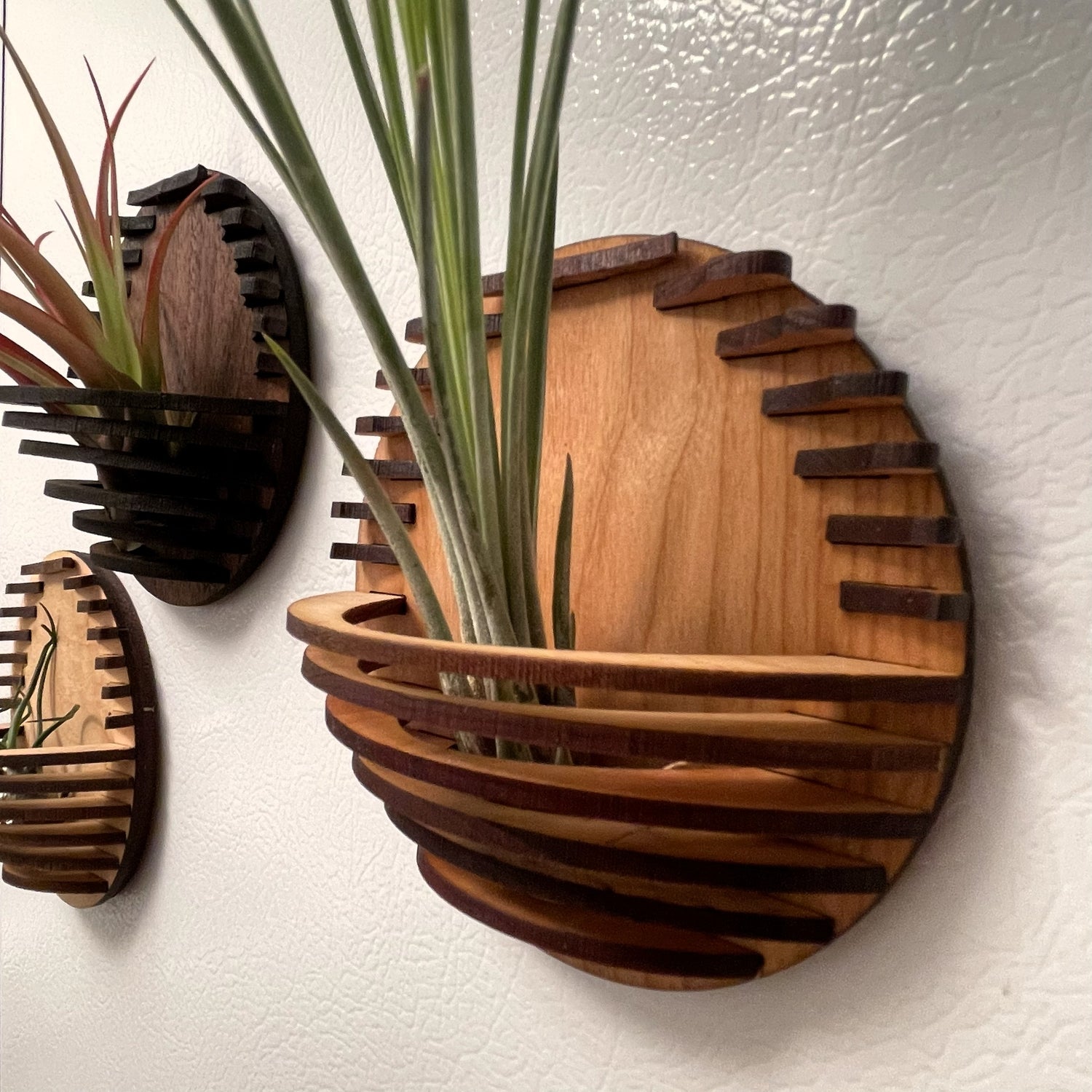 Magnetic Air Plant Nest