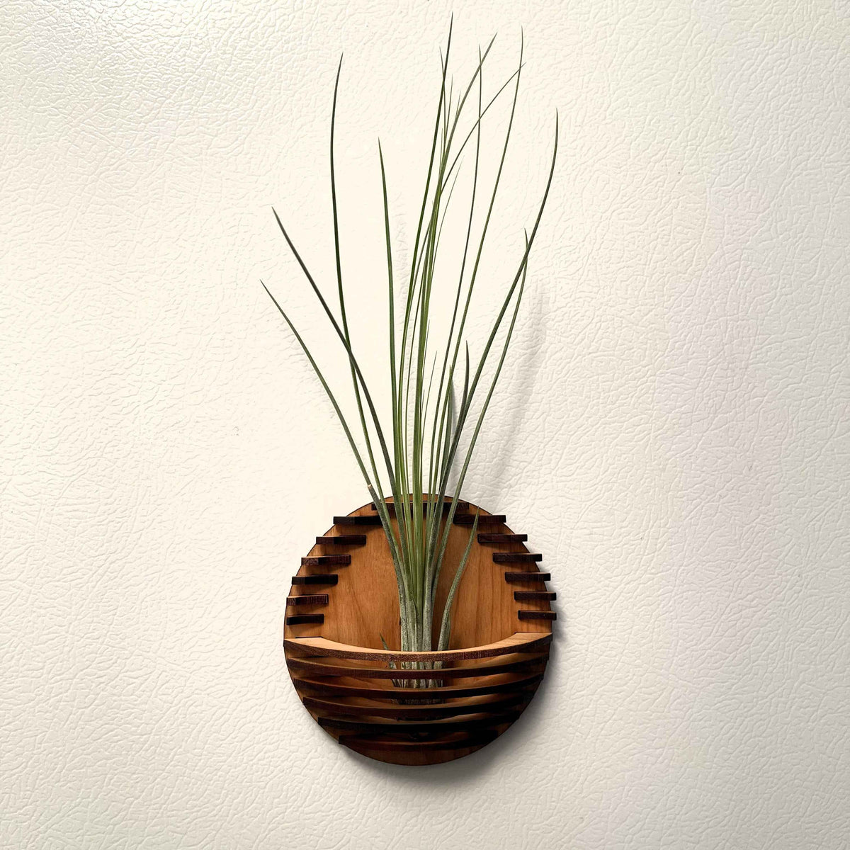 Magnetic Air Plant Nest