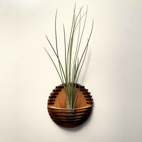 Magnetic Air Plant Nest