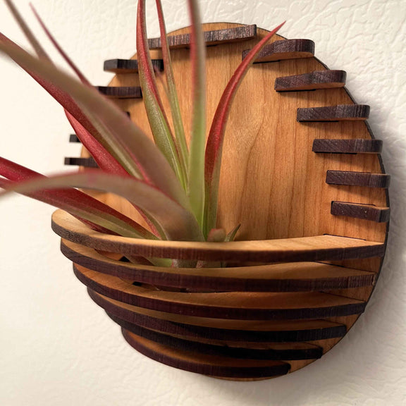 Magnetic Air Plant Nest
