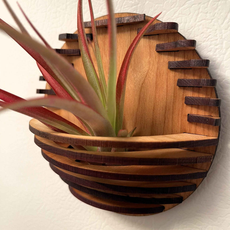 Magnetic Air Plant Nest
