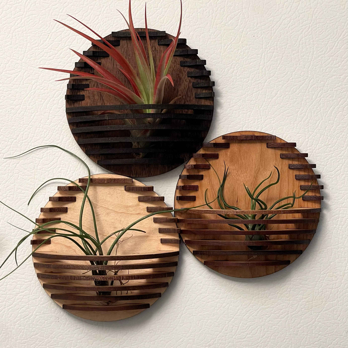 Magnetic Air Plant Nest