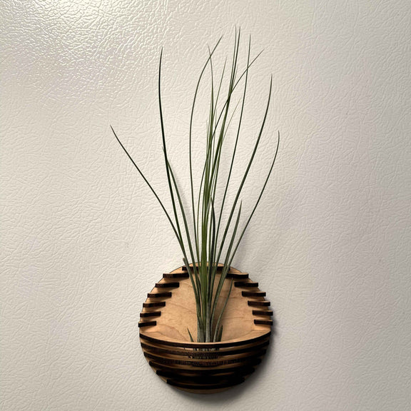 Magnetic Air Plant Nest