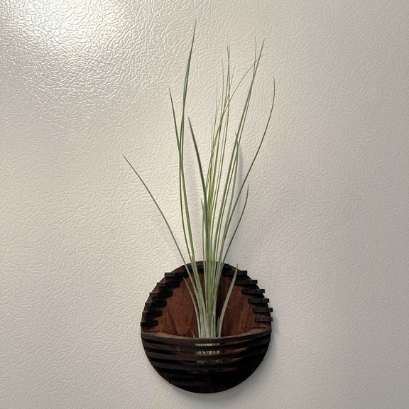 Magnetic Air Plant Nest