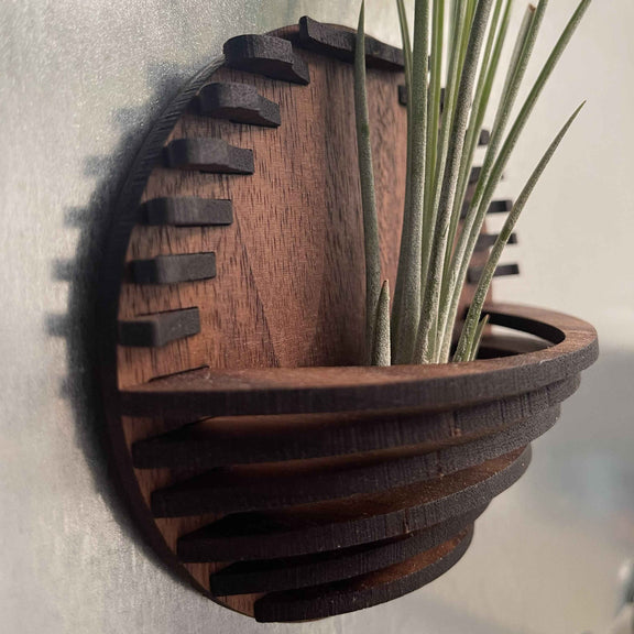 Magnetic Air Plant Nest