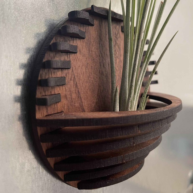 Magnetic Air Plant Nest
