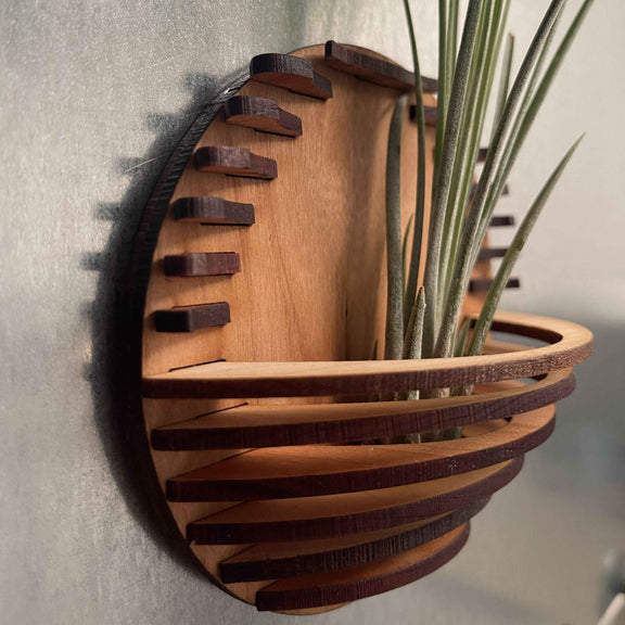 Magnetic Air Plant Nest