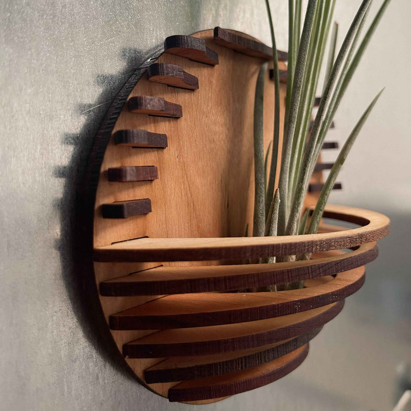 Magnetic Air Plant Nest