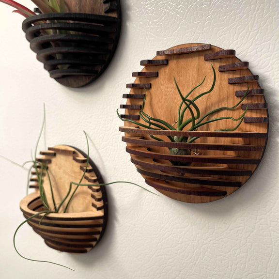 Magnetic Air Plant Nest