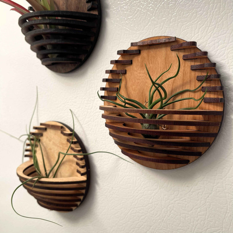 Magnetic Air Plant Nest