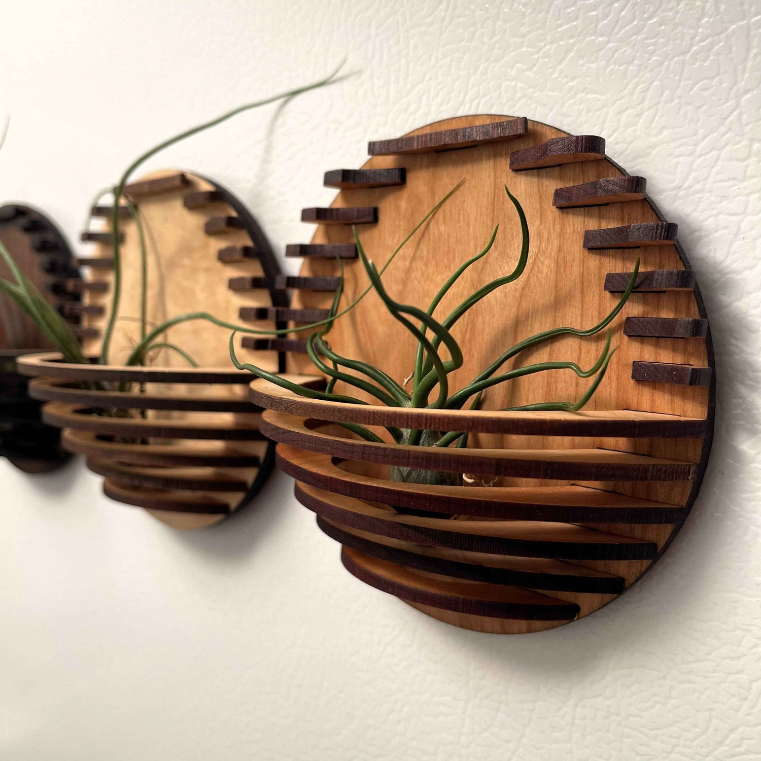 Magnetic Air Plant Nest