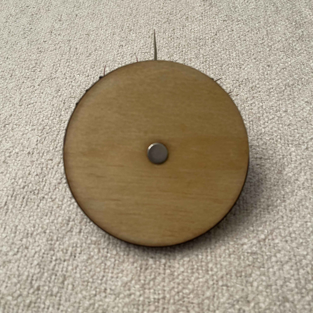 Magnetic Air Plant Nest