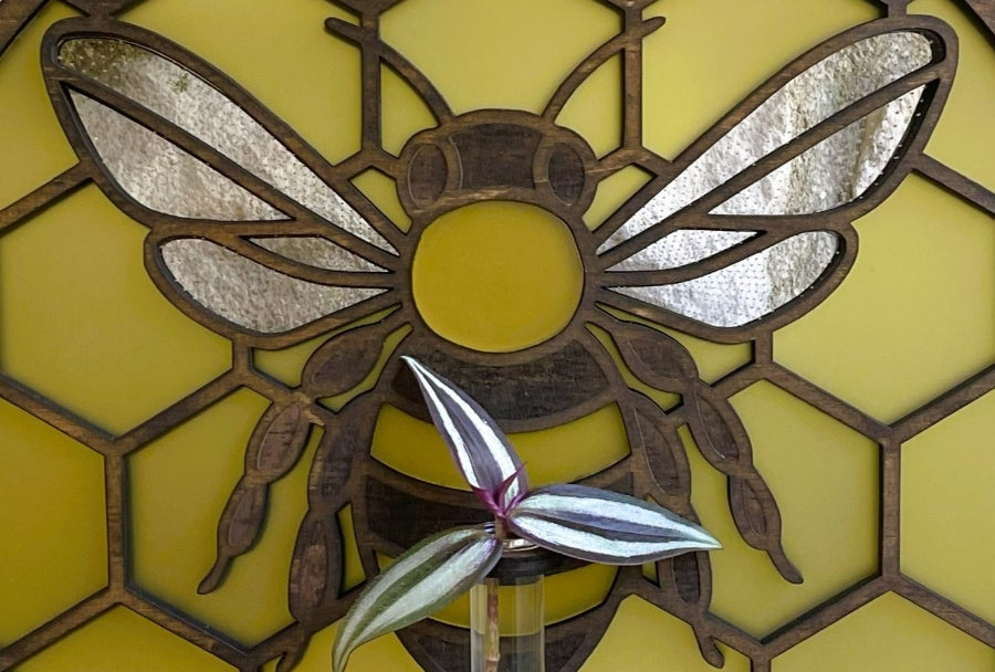 Image with text section