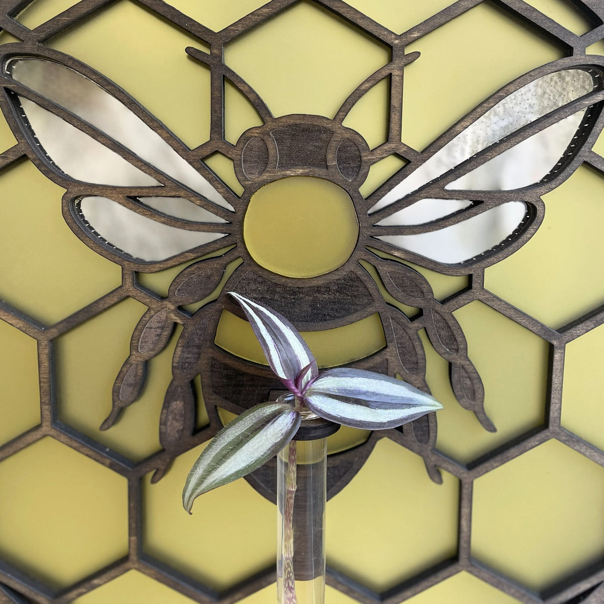 Sanctuary Starters: Radiant Bee's Bloom