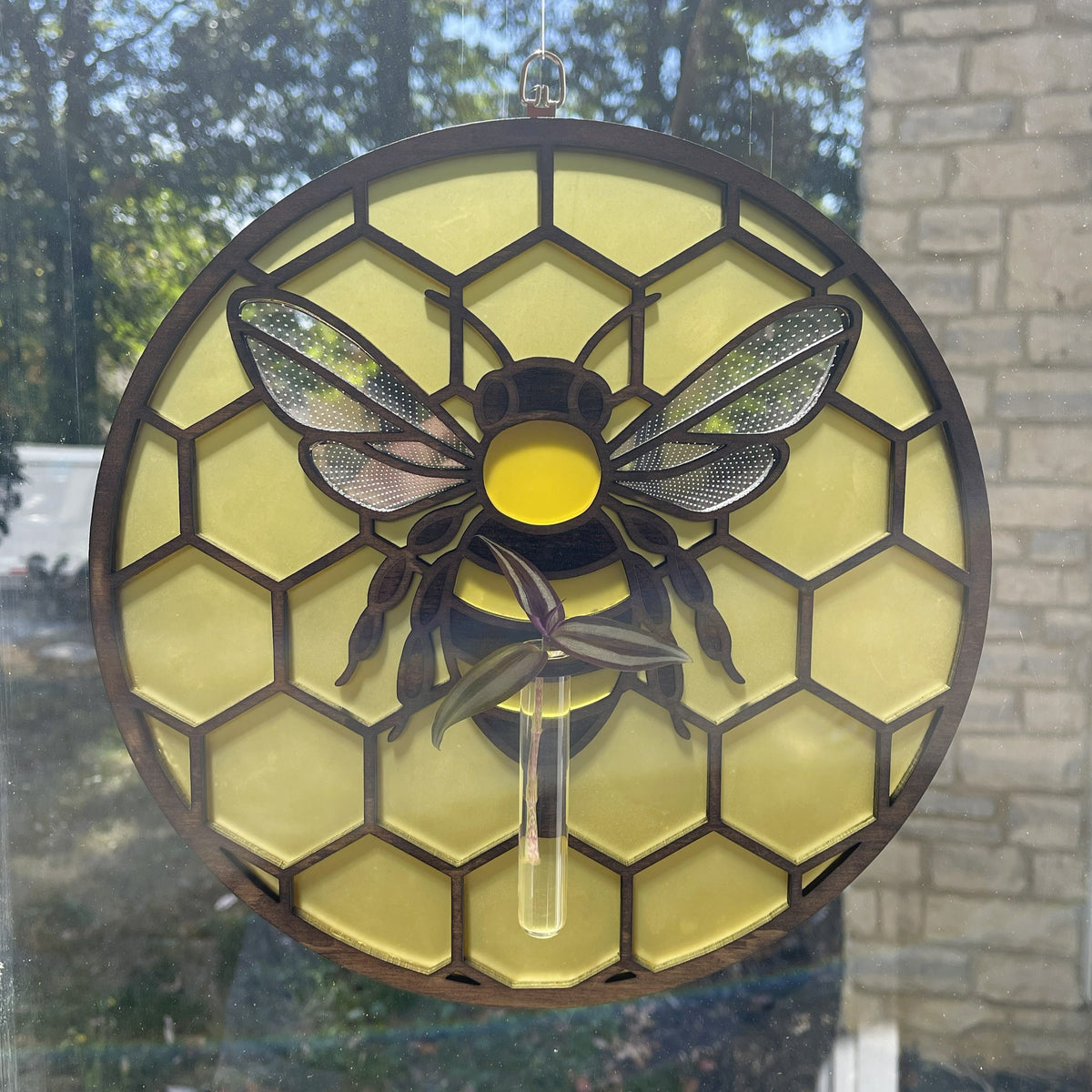 Sanctuary Starters: Radiant Bee's Bloom