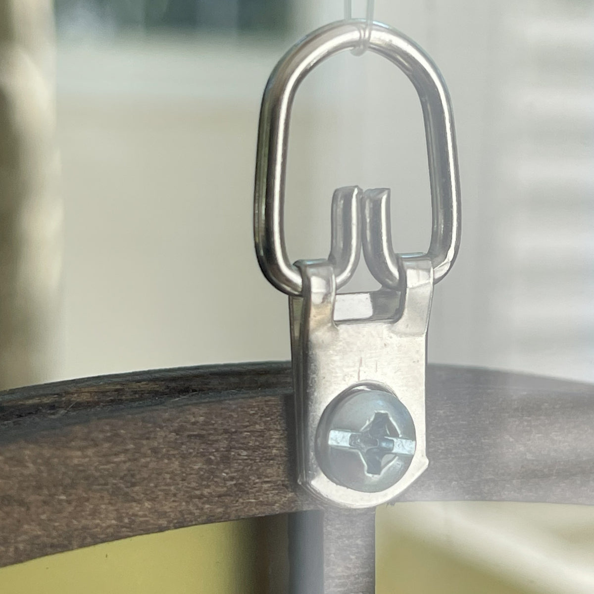 Sanctuary Starters: Radiant Bee's Bloom