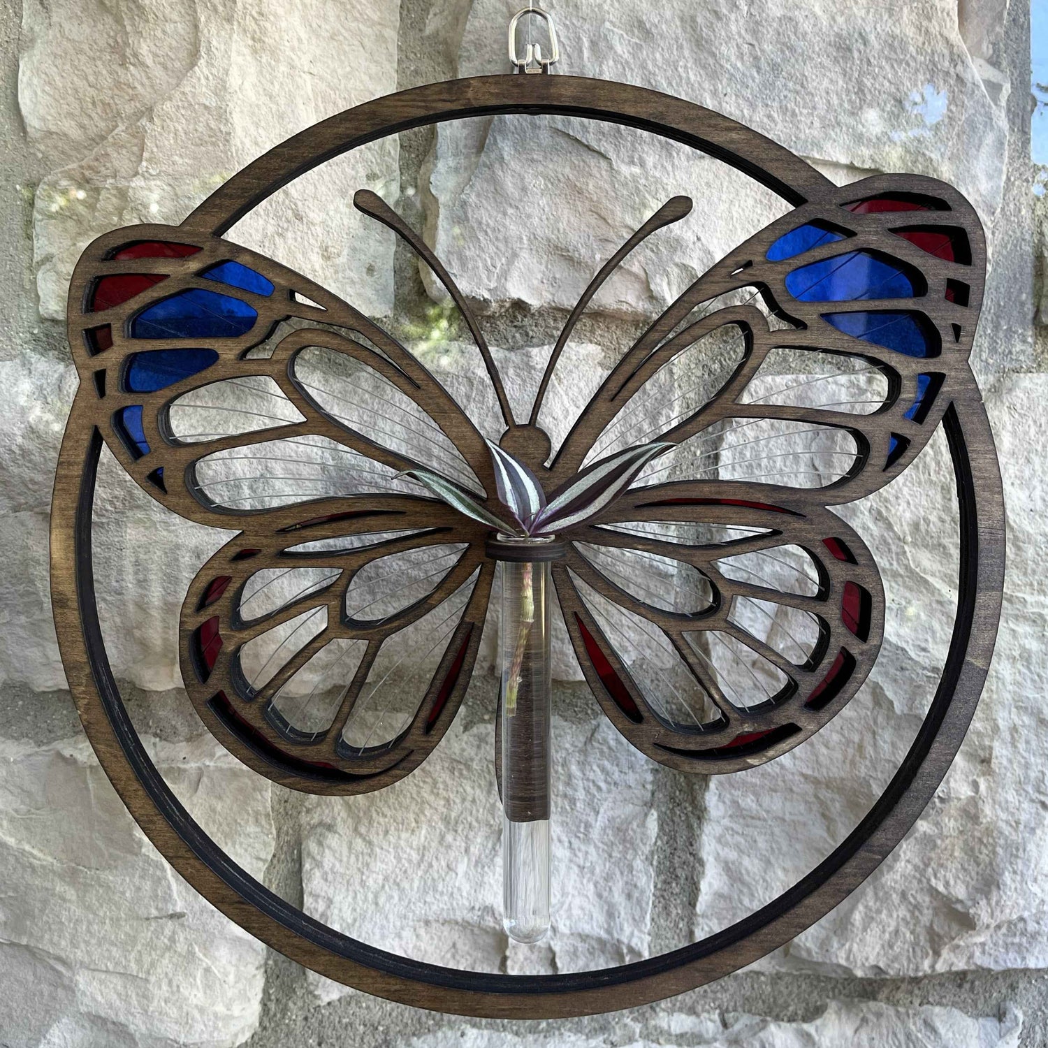 Sanctuary Starters: Radiant Wing Butterfly - Sanctuary Arts LLC