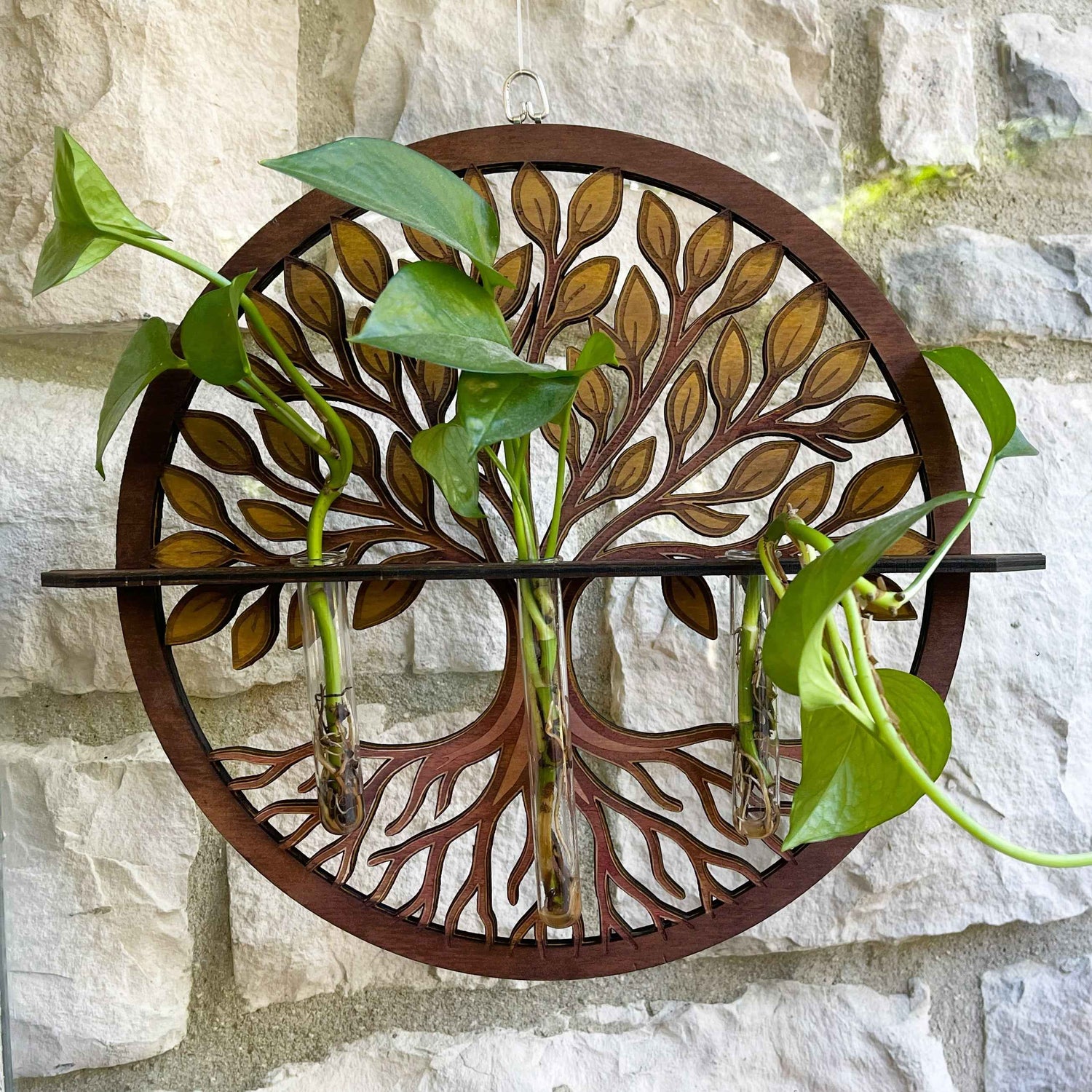 Sanctuary Starters: Tree of Life with 3 Glass Tubes