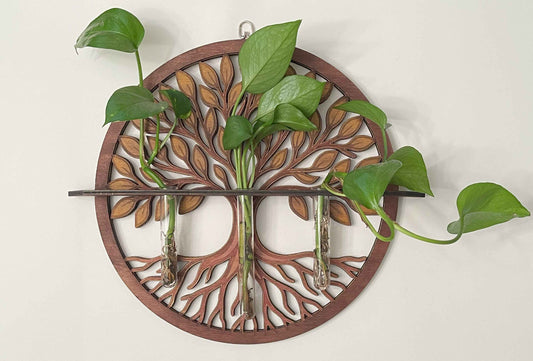 Sanctuary Starters: Tree of Life with 3 Glass Tubes