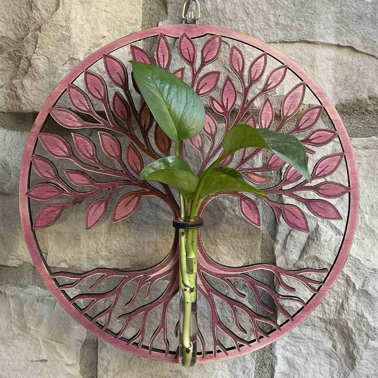 Sanctuary Starters: Tree of Life (single tube)