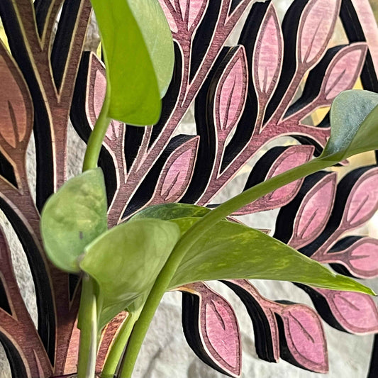 Sanctuary Starters: Tree of Life (single tube)